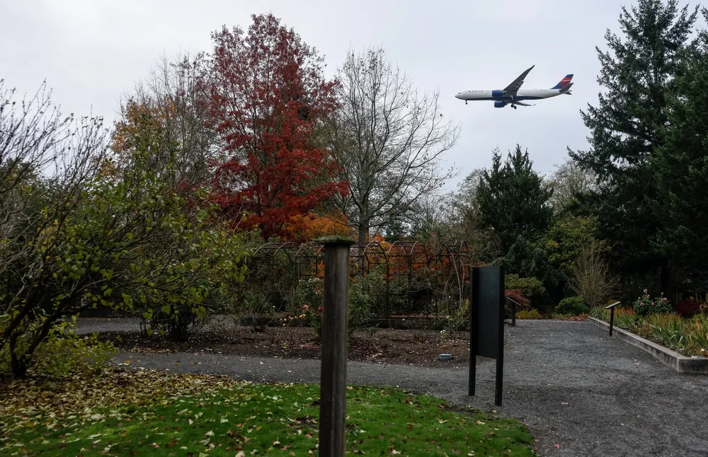 11122025 Botanical5 123030