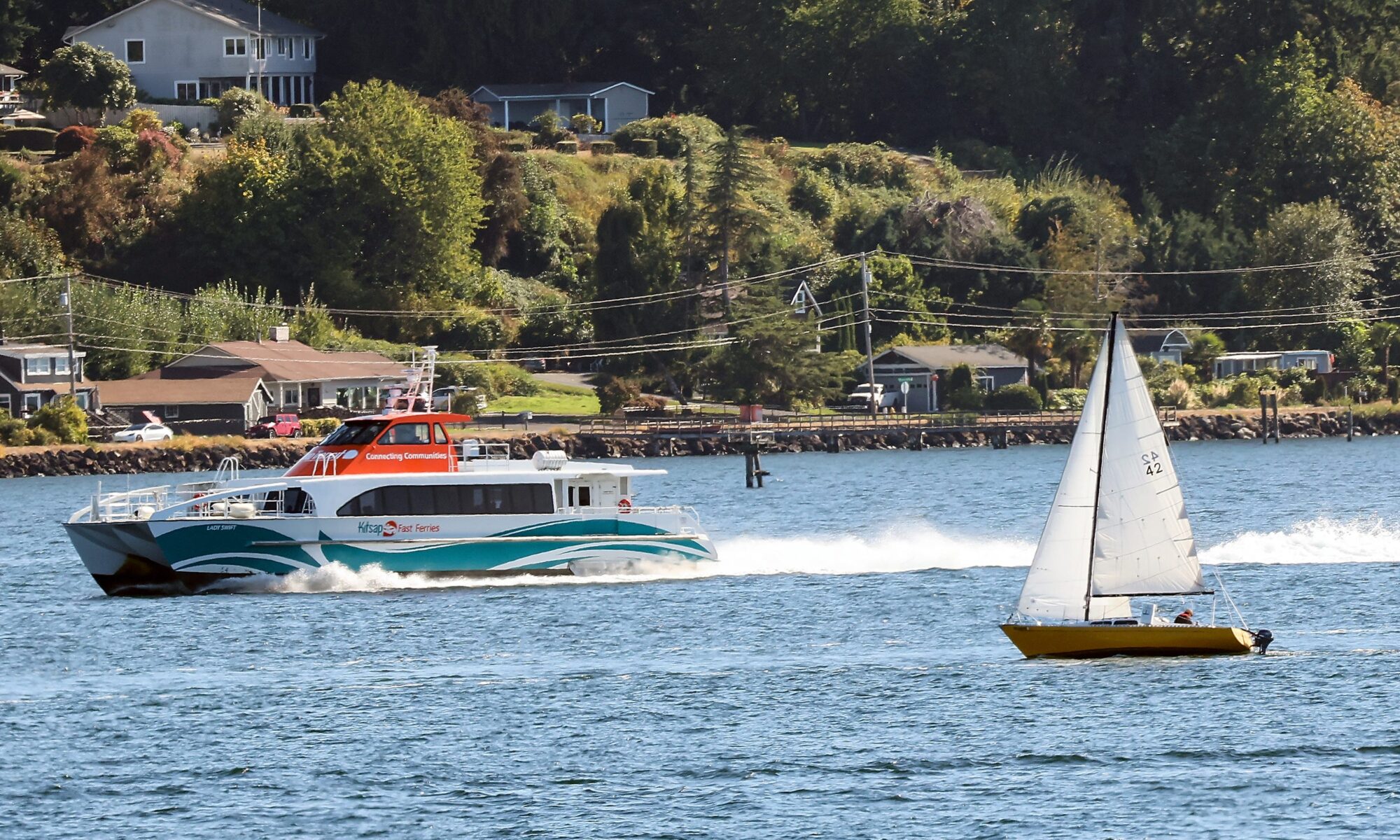 86175155007 Fast Ferry and Sailboat