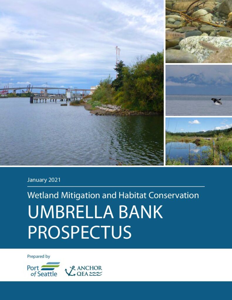 Prospectus pdf