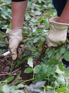 Greenseatacpartnership