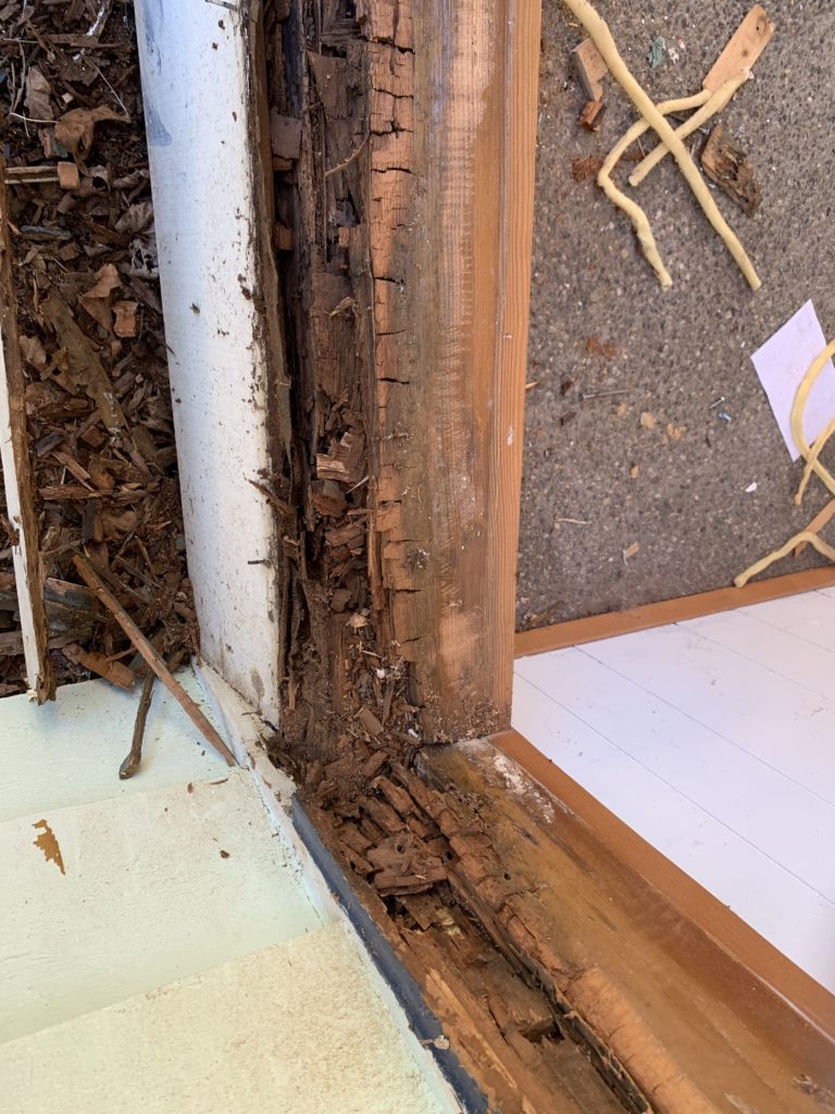 Severely rotted window sill at Port package recipient home