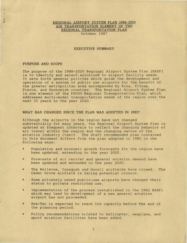 Rasp 198 2020 executive summary pdf